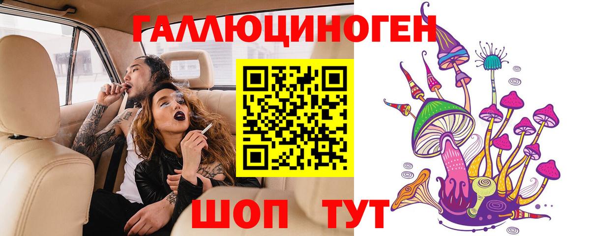 Десногорск  Галлюциногенные грибы Psilocybine cubensis  Вход с VPN 